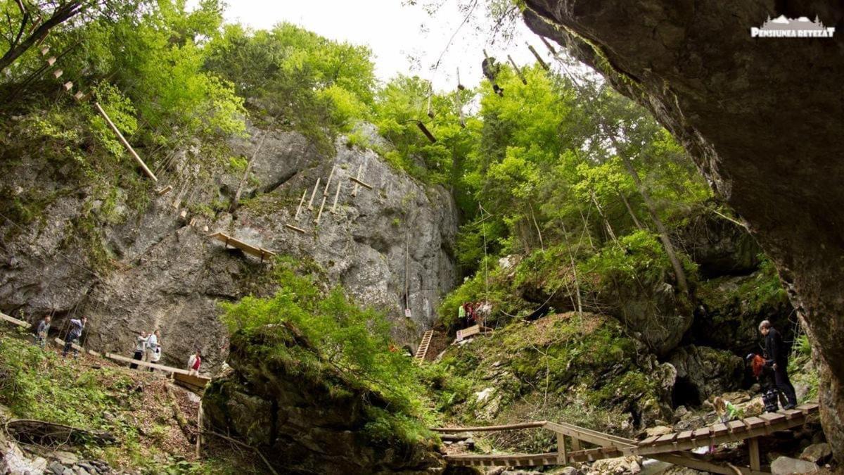 Pensiunea Retezat Campu Lui Neag Uricani  Exterior foto