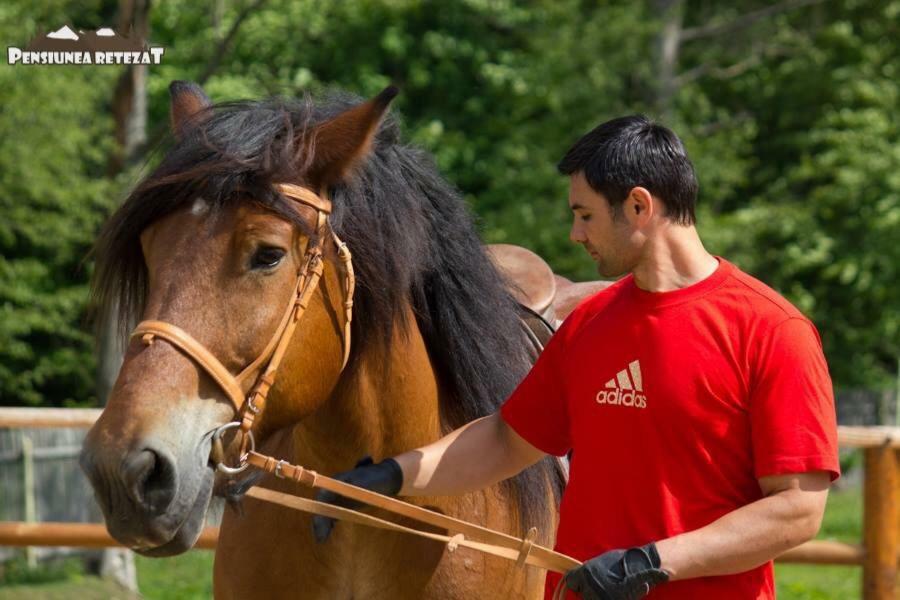 Pensiunea Retezat Campu Lui Neag Uricani  Exterior foto